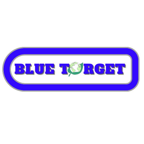 Blue Target Trading Logo